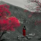 تریفه