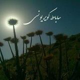 ساباط کویر یونسی