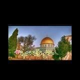 مقاطع قرأنية قصيرة🍃🍃