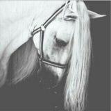 ﴿ريَآحٍ هآدِئہ‏⁴⁰♪̠❥