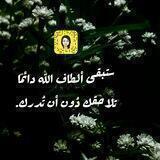 ابداعات أنثى😘