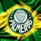 Palmeiras Ao Vivo