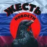 ЖЕСТЬ | Новости