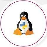 DLeX: Python + Linux Experts