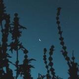 نُور على نُور 🌿.