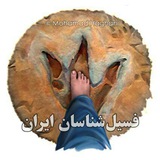 کانال فسیل شناسان ایران