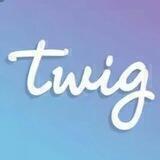 Toturial how to use app twig