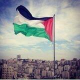 ✌️صمود 🇵🇸 ال̀́ۈ̀́ط̀́ن 🌿