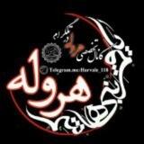 کانال‌تخصصی هروله 🎙