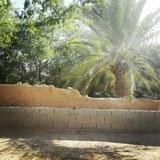 خواب‌هایی که تعقیبم می‌کنند