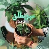 『سبـزِ مُـطلَّــق☘』