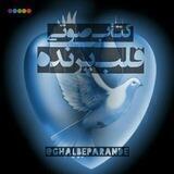 قلب پرنده🎤📚