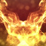 🔥博胜💥全行业🪐源头数据