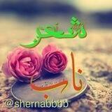 🍁شعـــرنــاب🍁