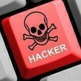 Acervo Hacking