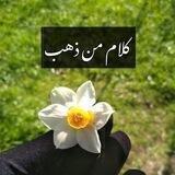 ووته زيرينەكان✒كلام ذهبي ✒Golden words