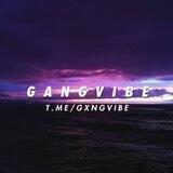 G A N G V I B E 🔥