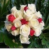 مُنْ ڪلُ بُسّتّأِنْ زّهّرًة 🌷