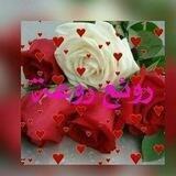 🎀🎀روۣآئعۣۗہ🎀روۣعۣۗہهۣۗہ🎀