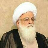 آیت الله نجفی تهرانی