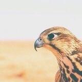 عذب القصيد💭💗‏ ֆ'