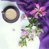 • رمزياツ 💜 [ صور ] •