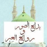 🌸 بدائع الصور و روائع العِبر 🌸
