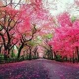 #شعروادب