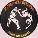 👊دنیای دفاع شخصی👊
