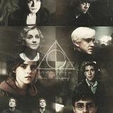 Wizarding World ⚡️