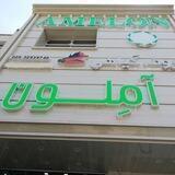 ظروف گیاهی آمِلون