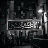 خادم الرباب علي الحبيب