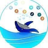 Altcoin Whales