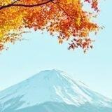 Reddit 精选