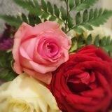 𓆩❤ HD خلفيات وصور ❤𓆪