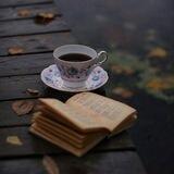 صفحة من كتاب 📄