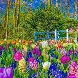 گلچین های لوکس