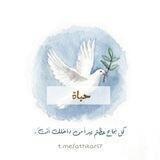 حيَاة .