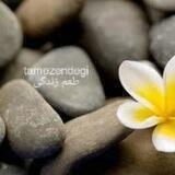 طعم خوش زندگی