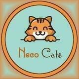 Neco Cats