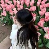 素材ღ【全资源】🪸