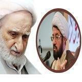 آیت الله بهجت استاد عالی