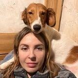 Dog’n’Fox
