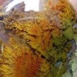 سنگهای قیمتی پخش عمده انواع نگين