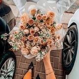 شموووخ انثى💅🏃‍♀
