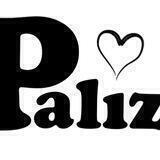palizcard