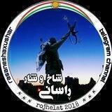 ڕاســــانی شــــاخ و شــــار