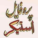 پـღــروفـایل استیـღــکر