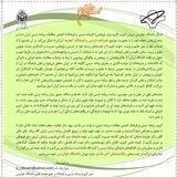 گروپ برنامه درسی و فرهنگ