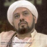 Habib Taufiq Assegaf